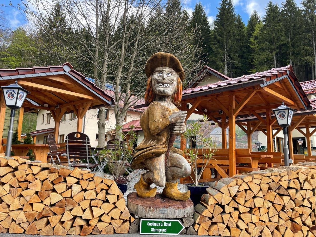 Hotel & Gasthaus Sterngrund Zella-Mehlis Exteriör bild