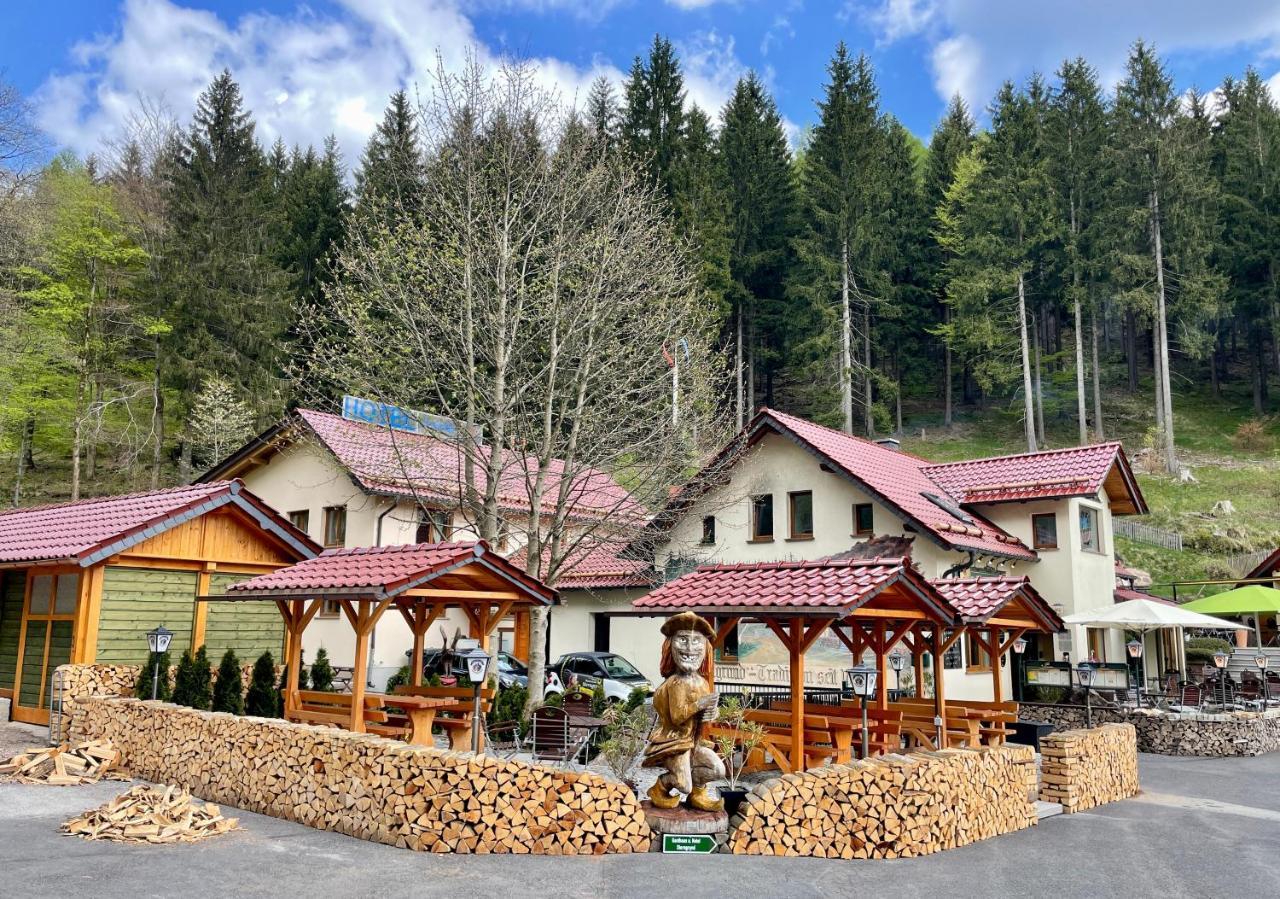Hotel & Gasthaus Sterngrund Zella-Mehlis Exteriör bild