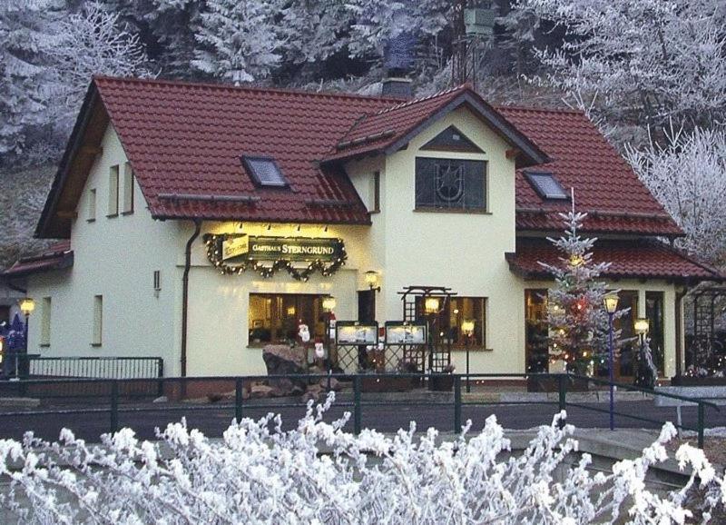 Hotel & Gasthaus Sterngrund Zella-Mehlis Exteriör bild