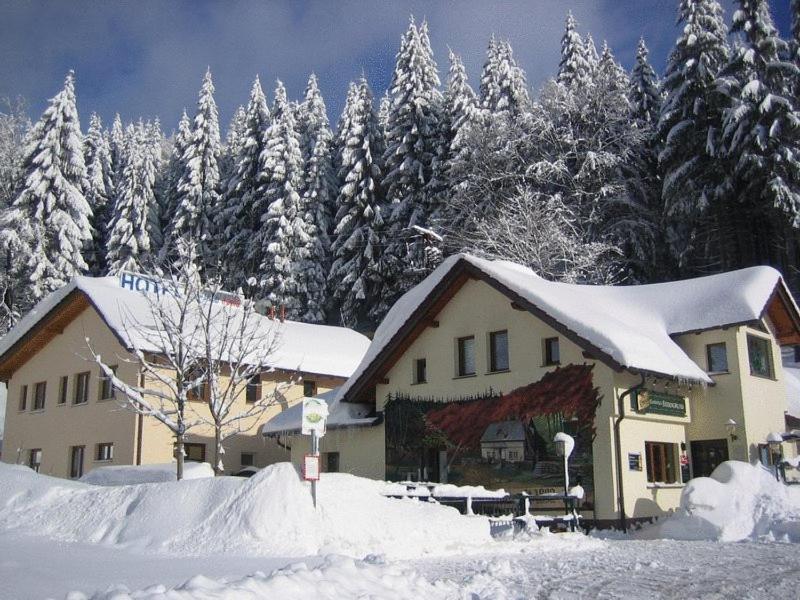 Hotel & Gasthaus Sterngrund Zella-Mehlis Exteriör bild